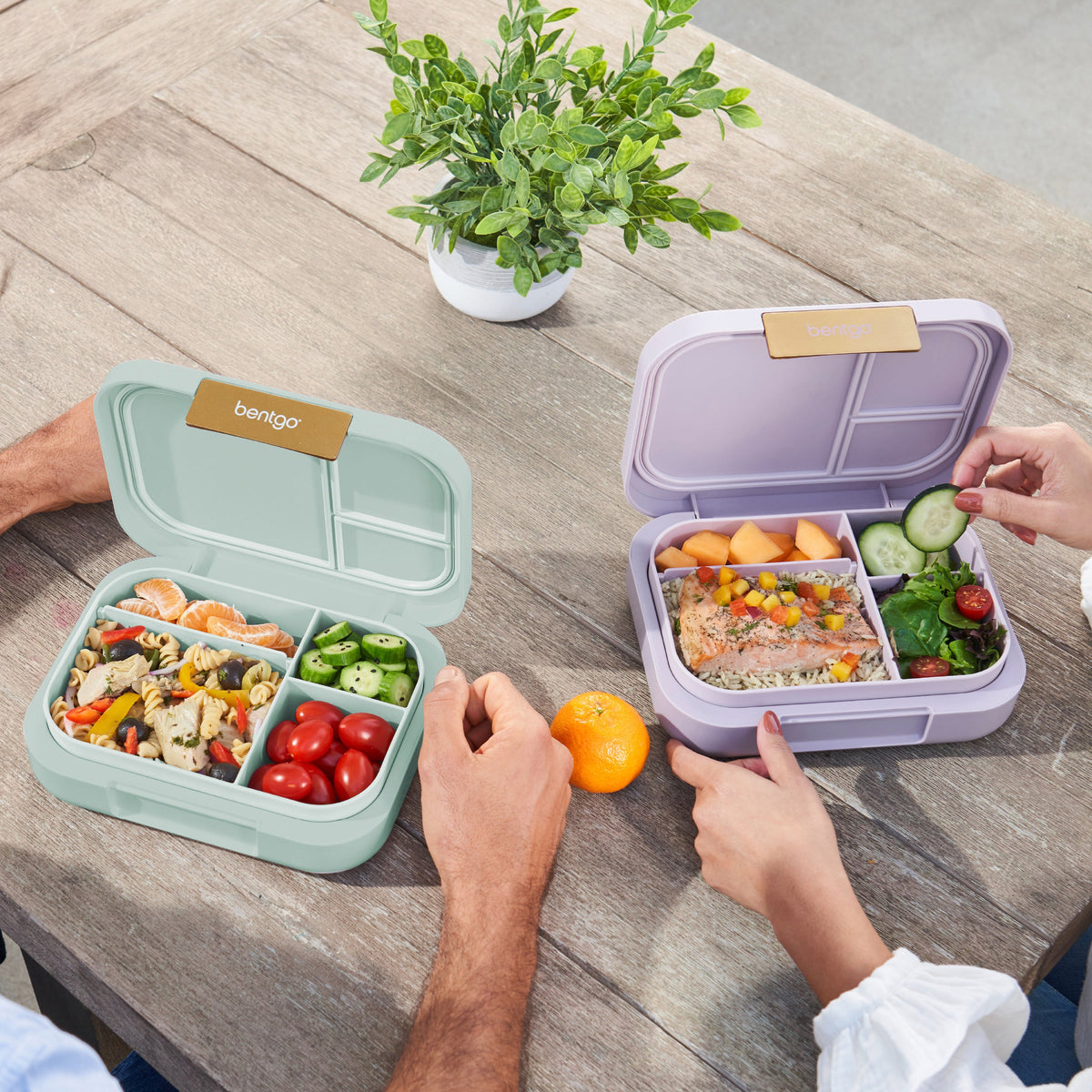 bentgo-modern-lunch-box-2-pack-f7 COSTCOBMCPRODUCTIMAGE_2.jpg